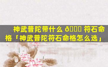 神武普陀带什么 🐎 符石命格「神武普陀符石命格怎么选」